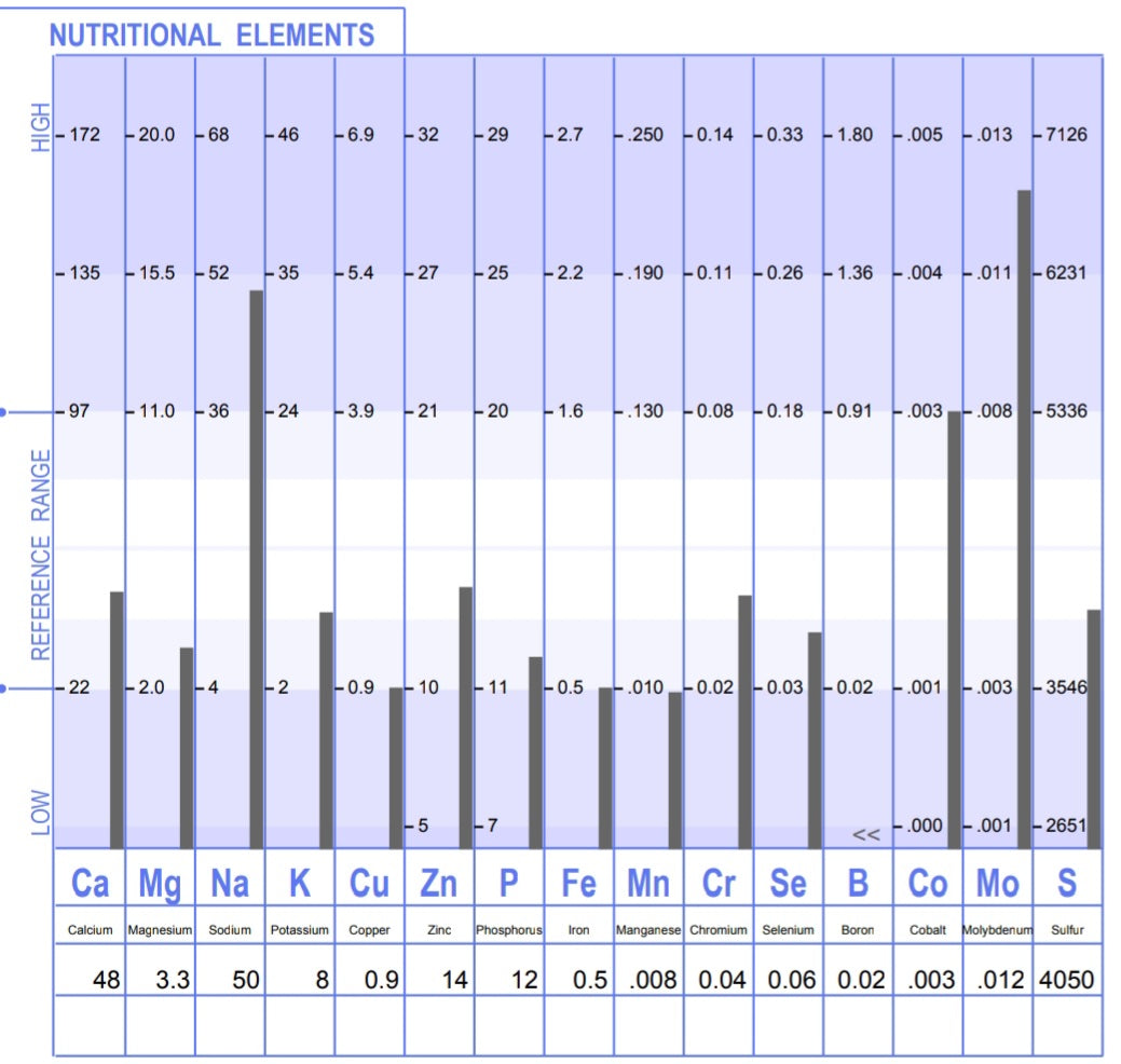 HAIR TISSUE MINERAL ANALYSIS